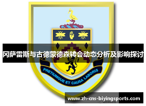 冈萨雷斯与古德蒙德森转会动态分析及影响探讨